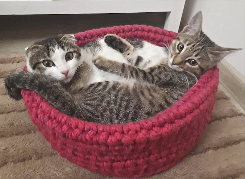 Cat Basket Bed, "Tamale", Pet Bed, Cat Bed, Wool Cat Bed, Crochet Cat Bed, Cat Furniture, Dog Bed